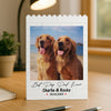 Custom Photo Best Dog Dad Ever Building Brick Blocks For Dog Lover TH10 898851