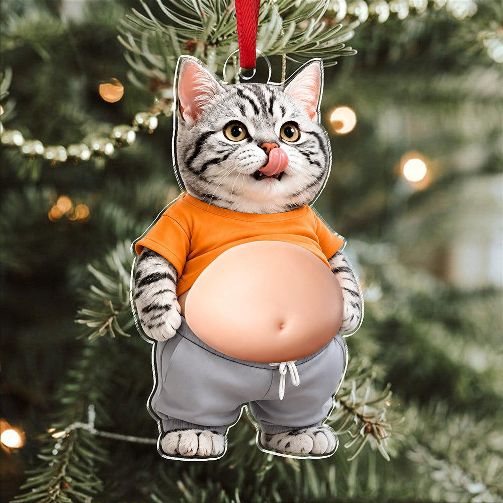 Custom Photo Squishy Acrylic Ornament – Personalized Birthday Gifts For Dog Cat Lovers, Dog Dad And Mom, Cat Owners - Professional Comedian In Fur HO82 903348