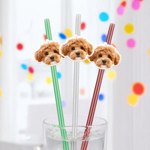 Custom Photo Funny Dog Cat Face Personalized Colorful Straws Birthday Party Decoration LM32 897613
