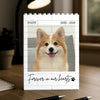 Custom Dog Photo Memorial Building Brick Blocks Gift For Dog Lover CH07 180500