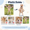 Custom Photo Poseable Body Mini Me Doll - Custom Ugly Dolls Gifts for Friends LM32 669839