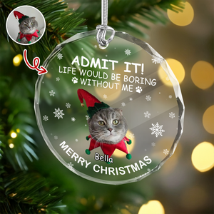 Custom Dog Cat Photo Life Would Be Boring Without Me Glass Ornament For Christmas TH10 894877