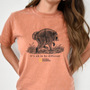 Jimothy Raccoon Comfort Shirt, Famous Seattle Raccoon Shirt Funny Animal Gift CH07 180240
