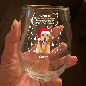 Custom Pet Photo Life Would Be Boring Without Me Wine Glass CH07 896418