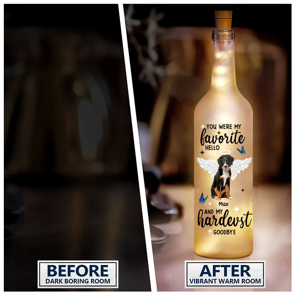 Custom Photo You Were My Favorite Hello and My Hardest Goodbye Bottle Lamp CH07 895720