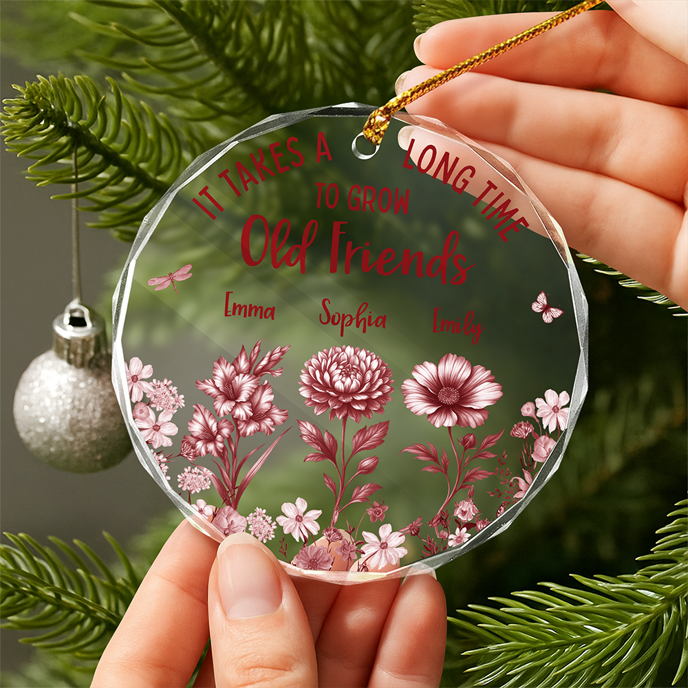 It Takes A Long Time To Grow An Old Friend Toile De Jouy Vintage French Style Personalized Cirle Glass Ornament HA75 897072