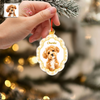 Custom Photo Dog Cat Pet Acrylic Ornament, Personalized Gift For Pet Lovers HA75 919112