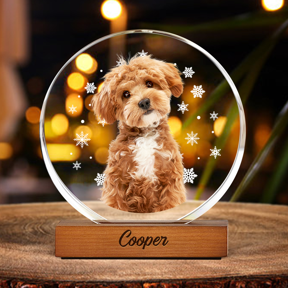 Custom Photo With Snowflake For Pet Lover Round Acrylic Frame Block TH10 894313