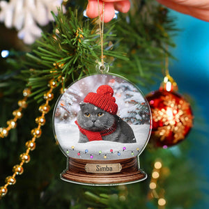 Custom Photo Cat Snowglobe Acrylic Ornament HA75 891600