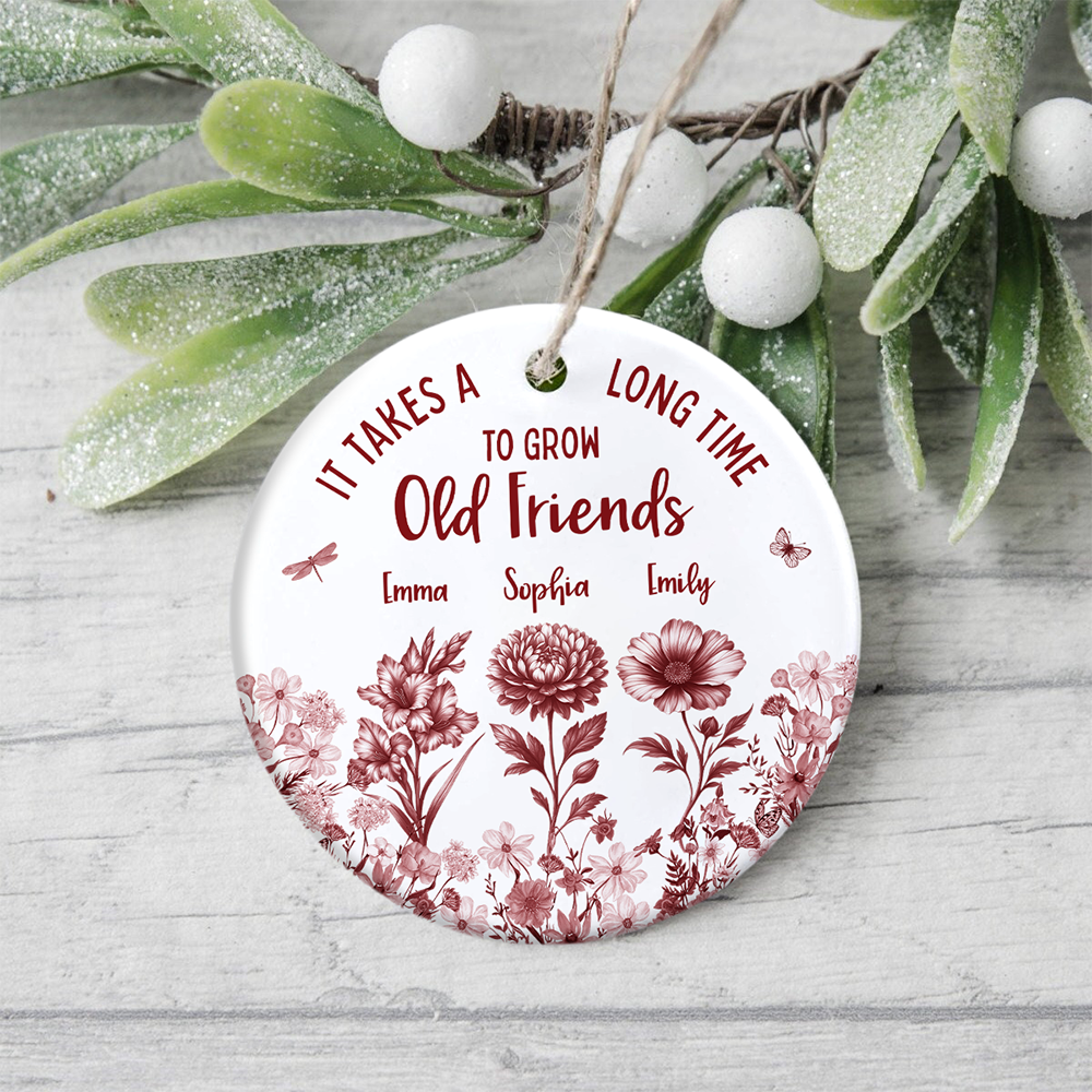 It Takes A Long Time To Grow An Old Friend Toile De Jouy Vintage French Style Personalized Ceramic Ornament HA75 897094