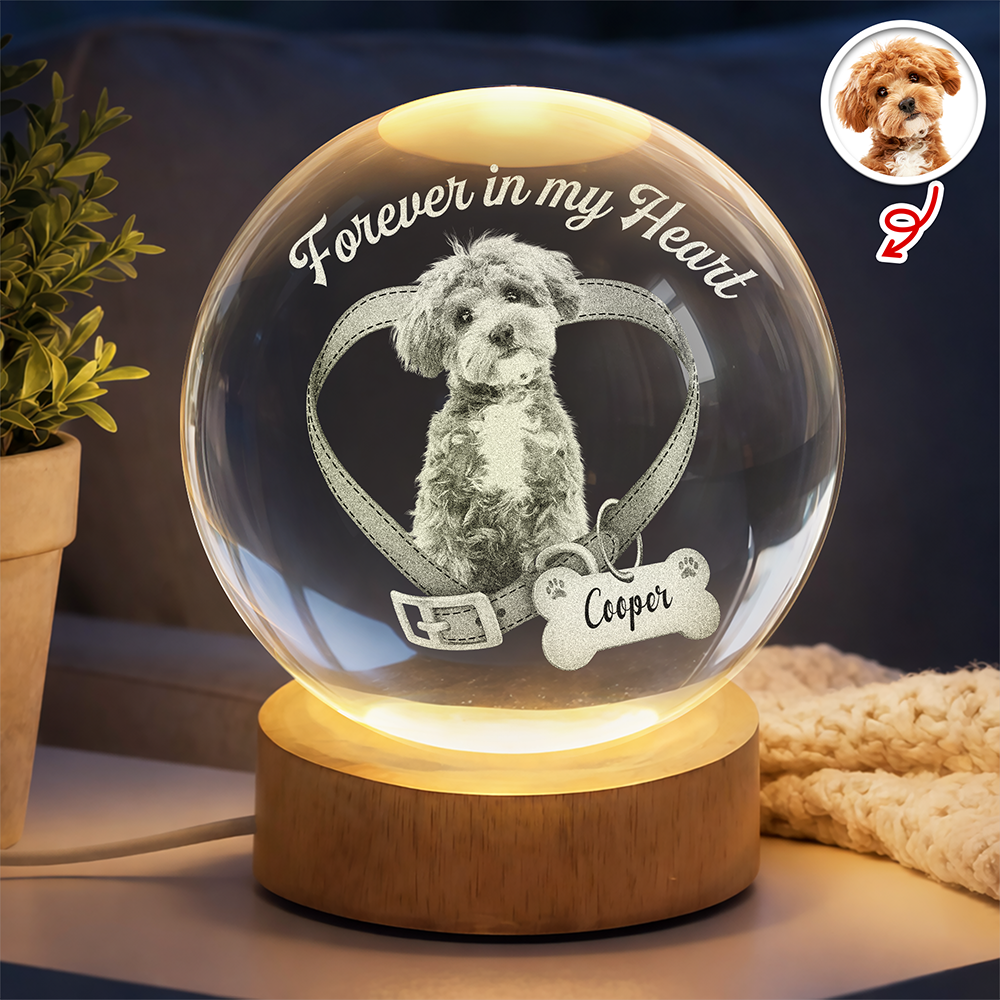 Custom Photo Forever In My Heart Memorial Engraved Crystal Ball LED Night Light CH07 911258