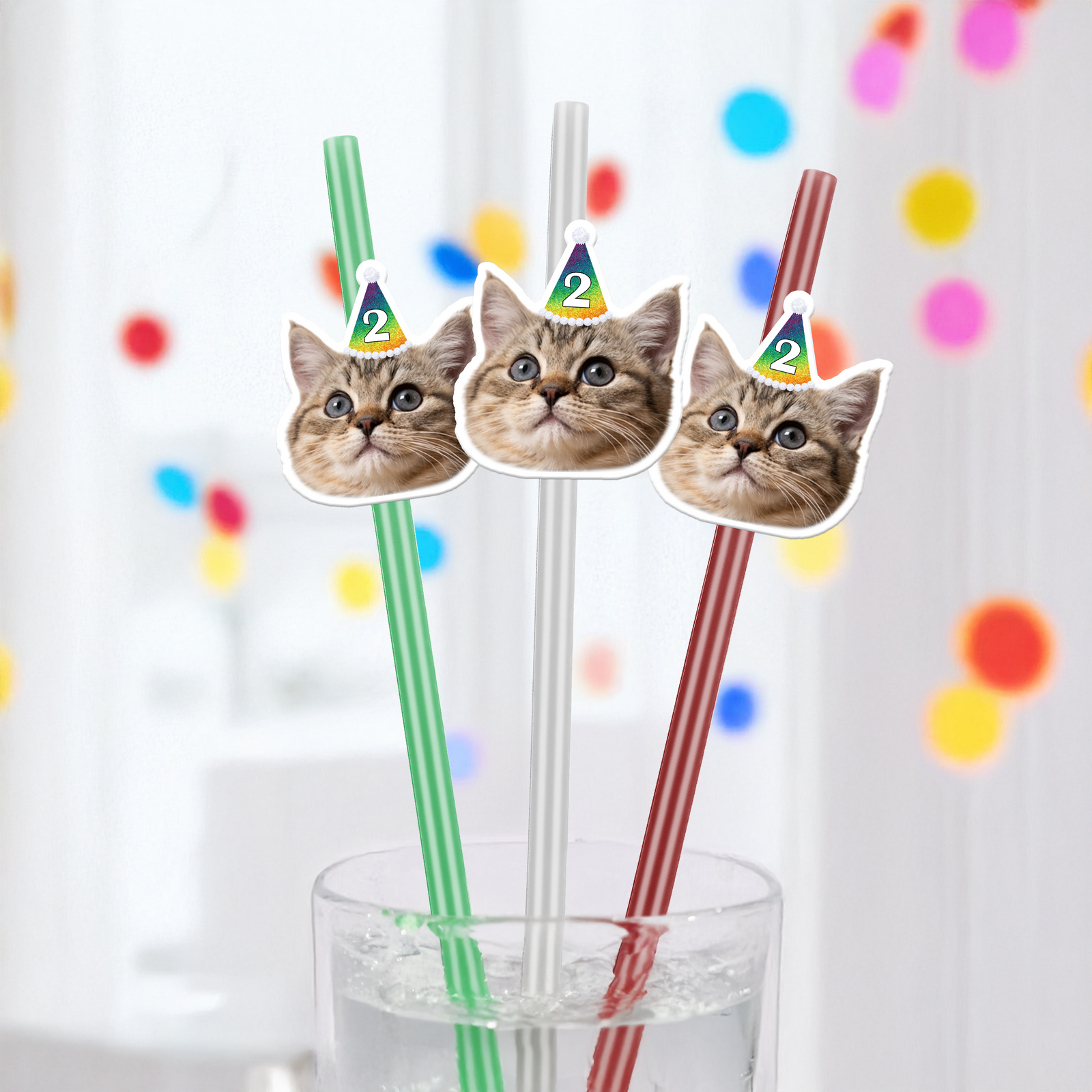 Custom Photo Pet Straw TH10 892747