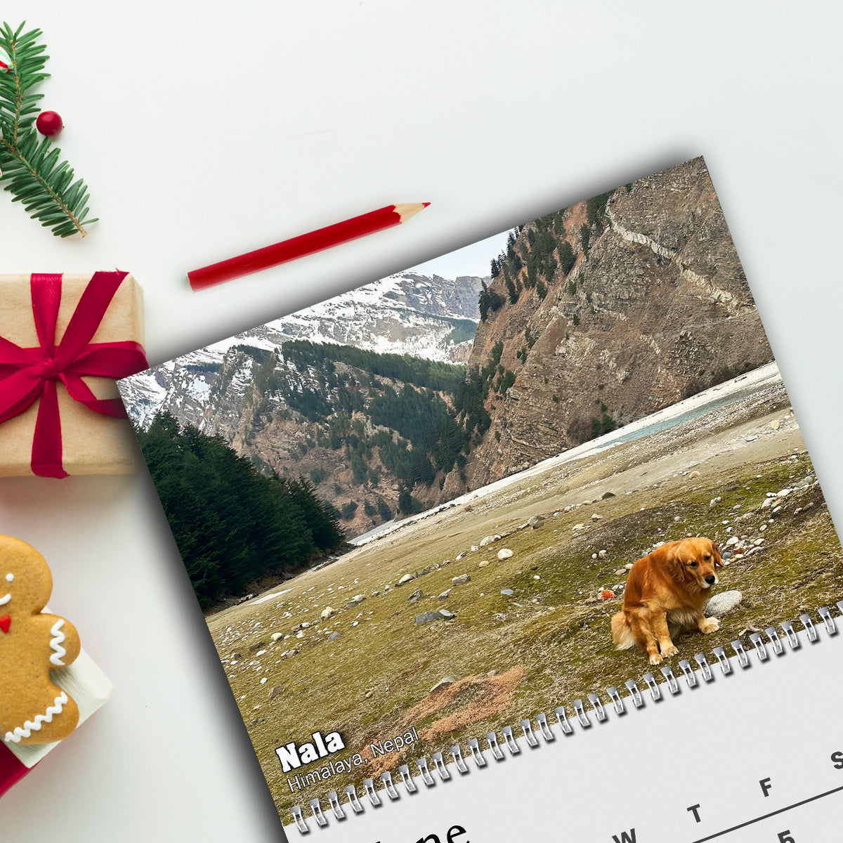 2026 Pooping Pooches Funny Dog Wall Calendar, White Elephant Gag Gift LM32 897307