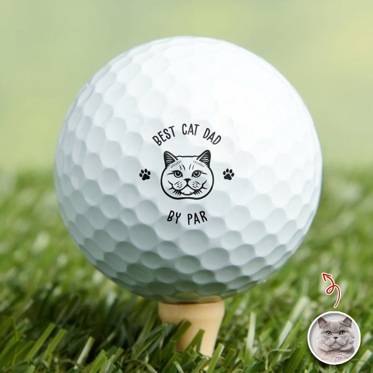 Custom Photo Best Dog Dad, Cat Dad By Par Golf Ball Stamp Box Gift for Golfer HA75 898520