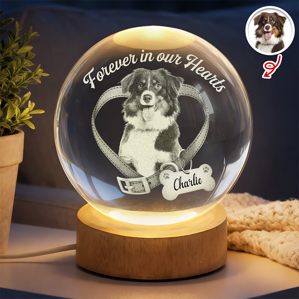 Custom Photo Forever In My Heart Memorial Engraved Crystal Ball LED Night Light CH07 911258