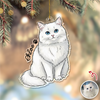 Custom Cute Cat Photo Portrait Christmas Decoration Acrylic Ornament LM32 895715