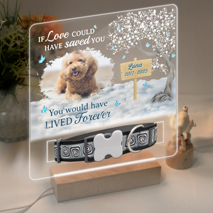 You Are My Favorite Hello An My Hardest Goodbye - Custom Pet Photo Memorial Acrylic Collar Frame CH07 896078