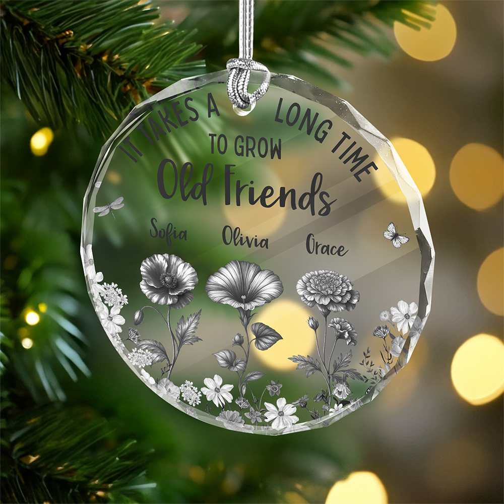 It Takes A Long Time To Grow An Old Friend Toile De Jouy Vintage French Style Personalized Cirle Glass Ornament HA75 897072
