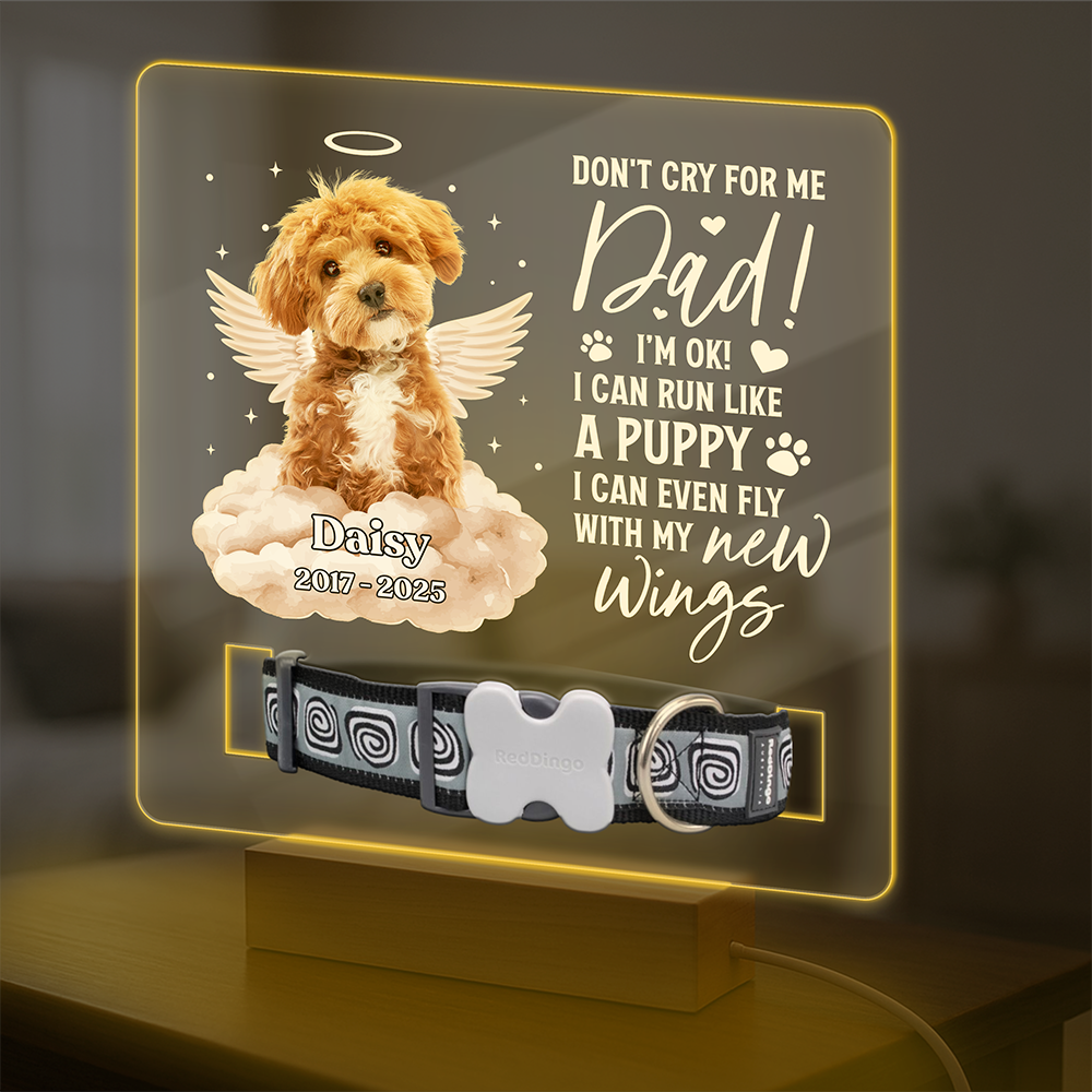 Custom Photo I Can Run Like A Puppy, I Can Even Fly With My New Wings - Memorial Personalized Acrylic Collar Frame CH07 896090