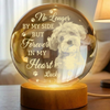 Custom Photo Memorial Once By My Side Forever In My Heart Engraved Crystal Ball LED Night Light HO82 901418