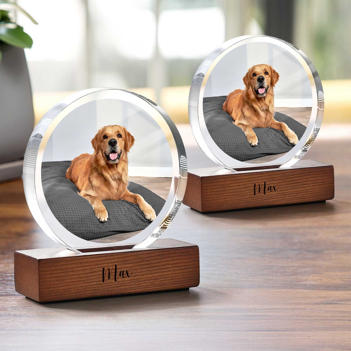 Custom Pet Photo Round Acrylic Frame Block Gift For Dog Lovers, Cat Lovers CH07 896046
