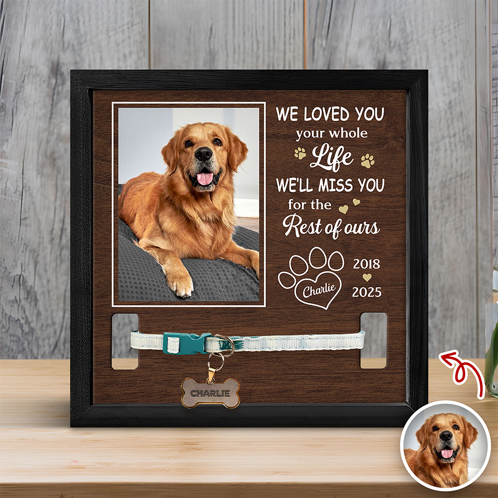 Custom Photo I Loved You Whole Life Memorial Dog Cat Square Collar Frame HA75 892818
