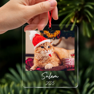 Custom Cat Photo Acrylic Ornament Christmas Gift For Cat Lovers LM32 895771
