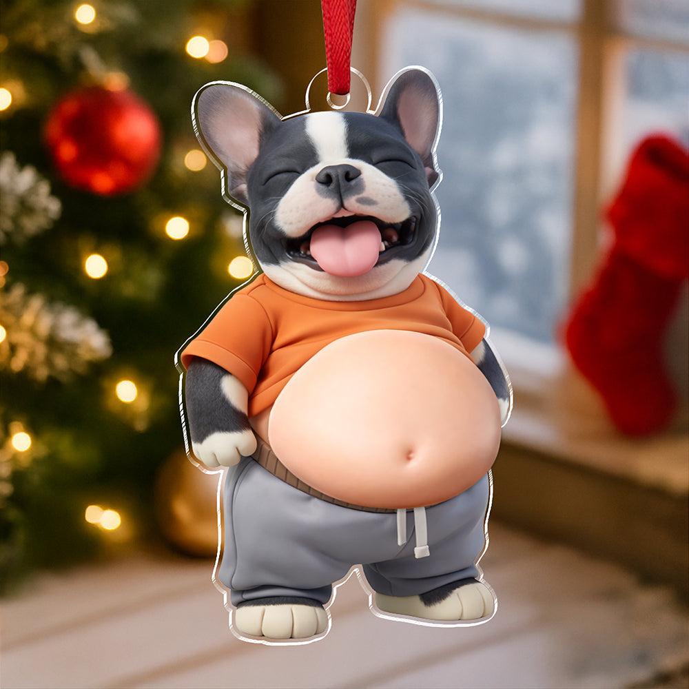 Custom Photo Squishy Acrylic Ornament – Personalized Birthday Gifts For Dog Cat Lovers, Dog Dad And Mom, Cat Owners - Professional Comedian In Fur HO82 903348