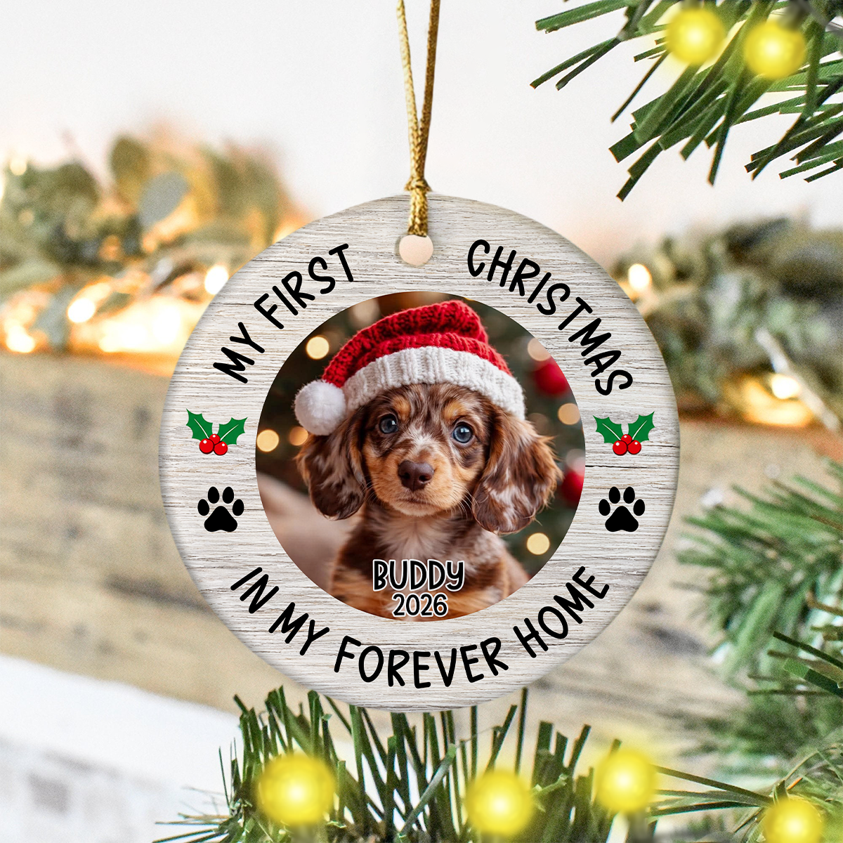 Personalized Pet Photo My First Christmas in My Forever Home Ceramic Ornament HO82 903974