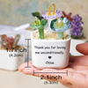 Personalized Thank You for Helping Me Grow Tulip Glass Flower Pot - Teacher Appreciation, Succulent Cactus Figurine, Valentine's Day HO82 901432