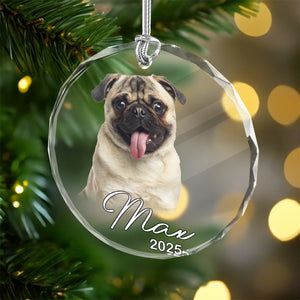 Custom Pet Photo Christmas Glass Ornament Gift For Pet Lovers TH10 894775