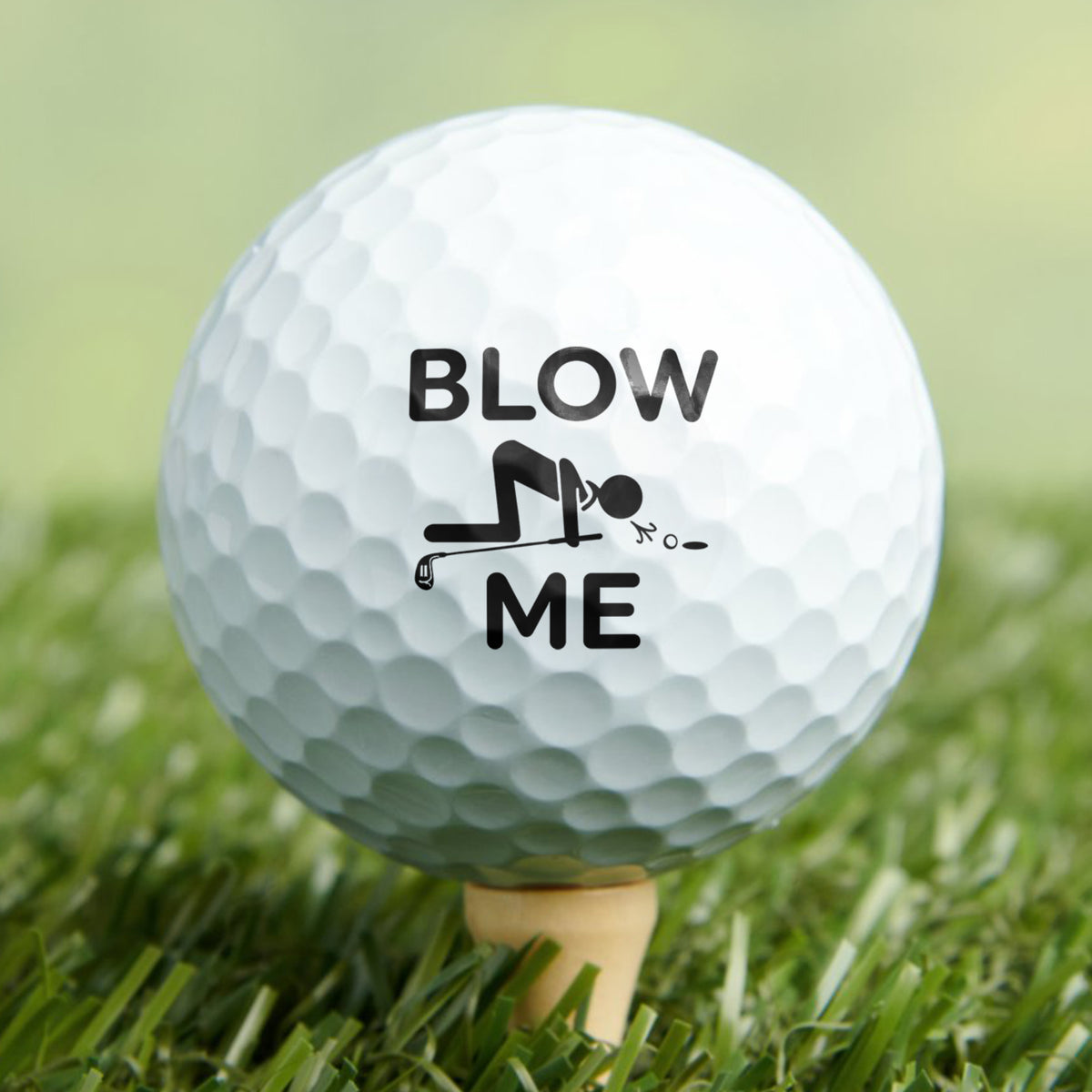 Blow Me Funny Golf Ball Stamp, Monogram Marker for Easy Identify & Reusable HO82 903408