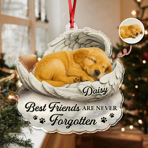 Custom Photo You Would Have Lived Forever Pet Memorial Acrylic Ornament HA75 897122