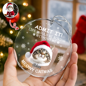 Custom Dog Cat Photo Life Would Be Boring Without Me Glass Ornament For Christmas TH10 894877