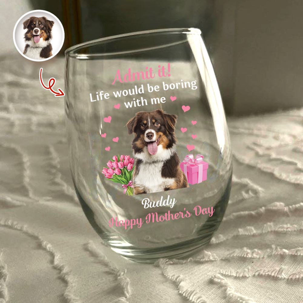 Custom Pet Photo Life Would Be Boring Without Me Wine Glass Mother's Day Gift CH07 910916