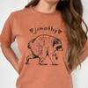 Custom Name Jimothy Raccoon Comfort Shirt, Famous Seattle Raccoon Shirt Funny Animal Gift LM32 669653