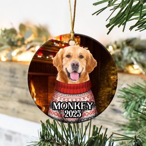 Custom Cute Dog Photo Christmas Ornament Gift For Dog Lover CH07 896804