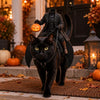 Halloween Horseman Pet Rider Costume, Pumpkin Knight Gothic Cat Outfit LM32 670247