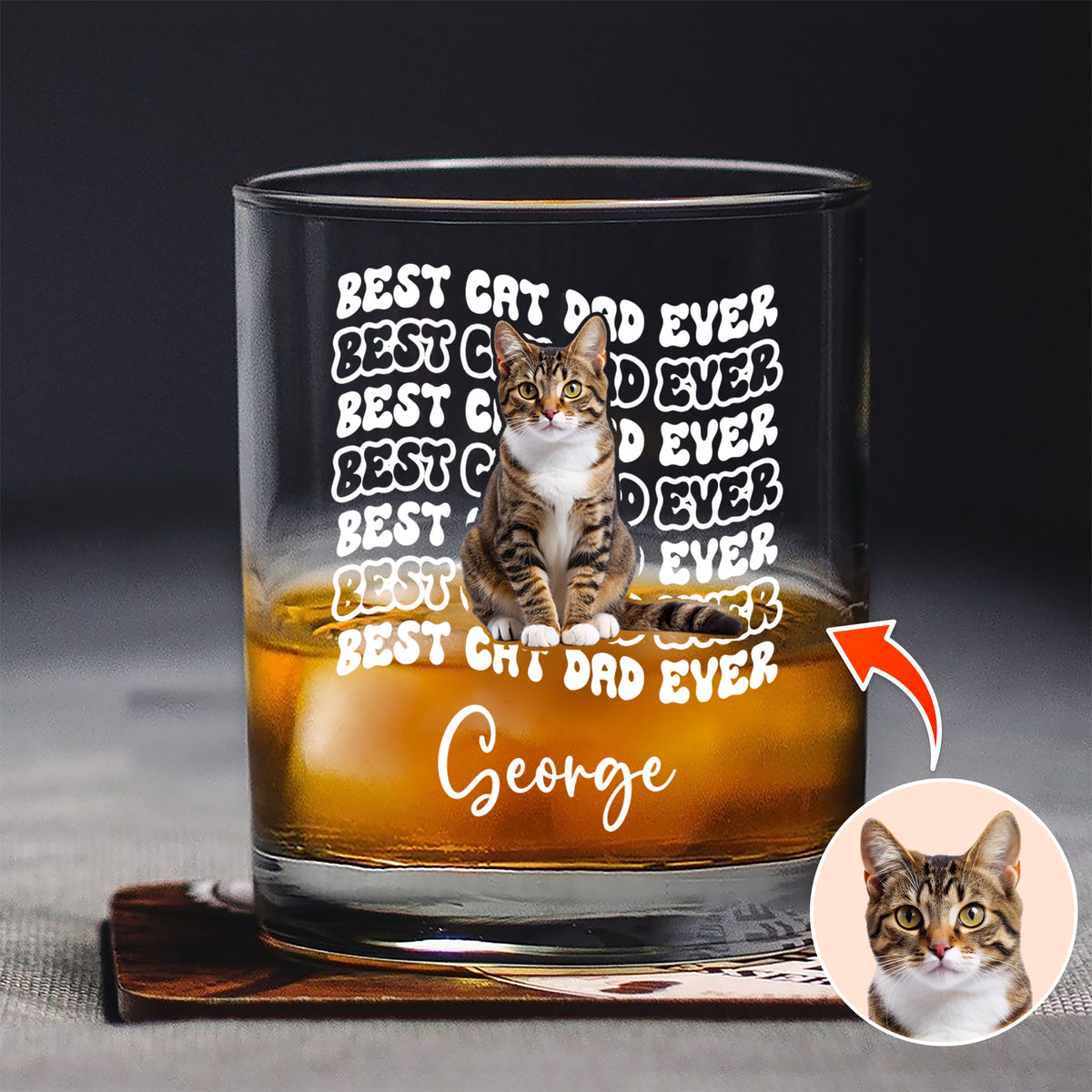 Custom Photo Best Dog Dad Ever Rock Glass - Father’s Day Gift for Dog & Cat Owners HA75 921374