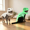 Dinosaur Skeleton Pet Costume - Halloween Outfit for Cats & Dogs HO82 903818
