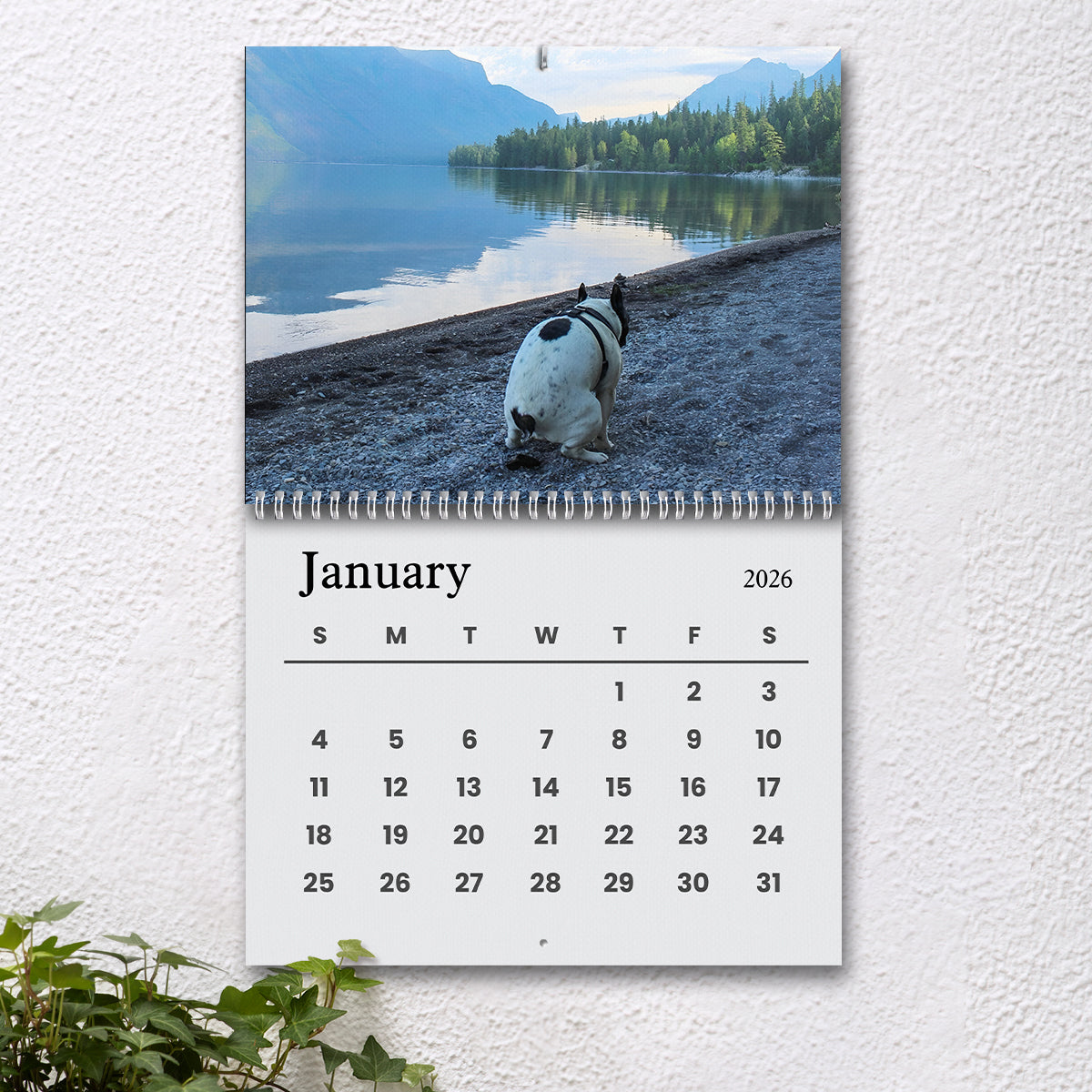 2026 Dogs Pooping In Beautiful Places Calendar TH10 896705