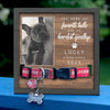 You Were My Favorite Hello And My Hardest Goodbye - Memorial Personalized Custom Pet Loss Sign, Collar Frame 40124