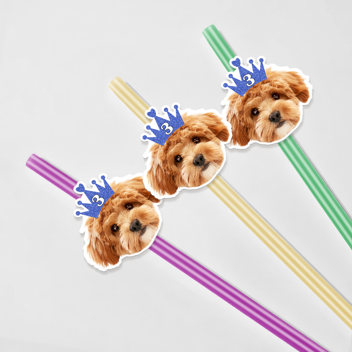 Custom Photo Pet Straw TH10 892747