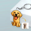 Custom Dog Cat Cartoon Photo Acrylic Keychain For Dog Lovers Cat Lovers CH07 896446