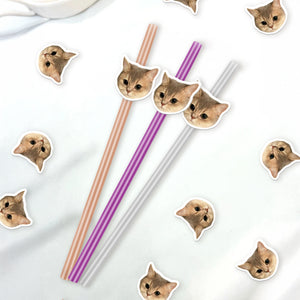 Custom Photo Funny Dog Cat Face Personalized Colorful Straws Birthday Party Decoration LM32 897613