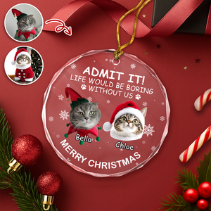 Custom Dog Cat Photo Life Would Be Boring Without Me Glass Ornament For Christmas TH10 894877