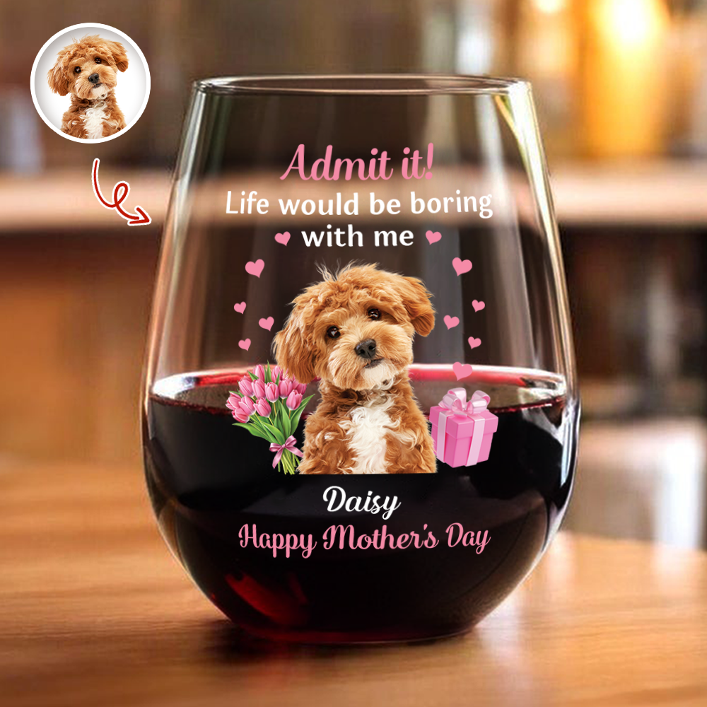 Custom Pet Photo Life Would Be Boring Without Me Wine Glass Mother's Day Gift CH07 910916