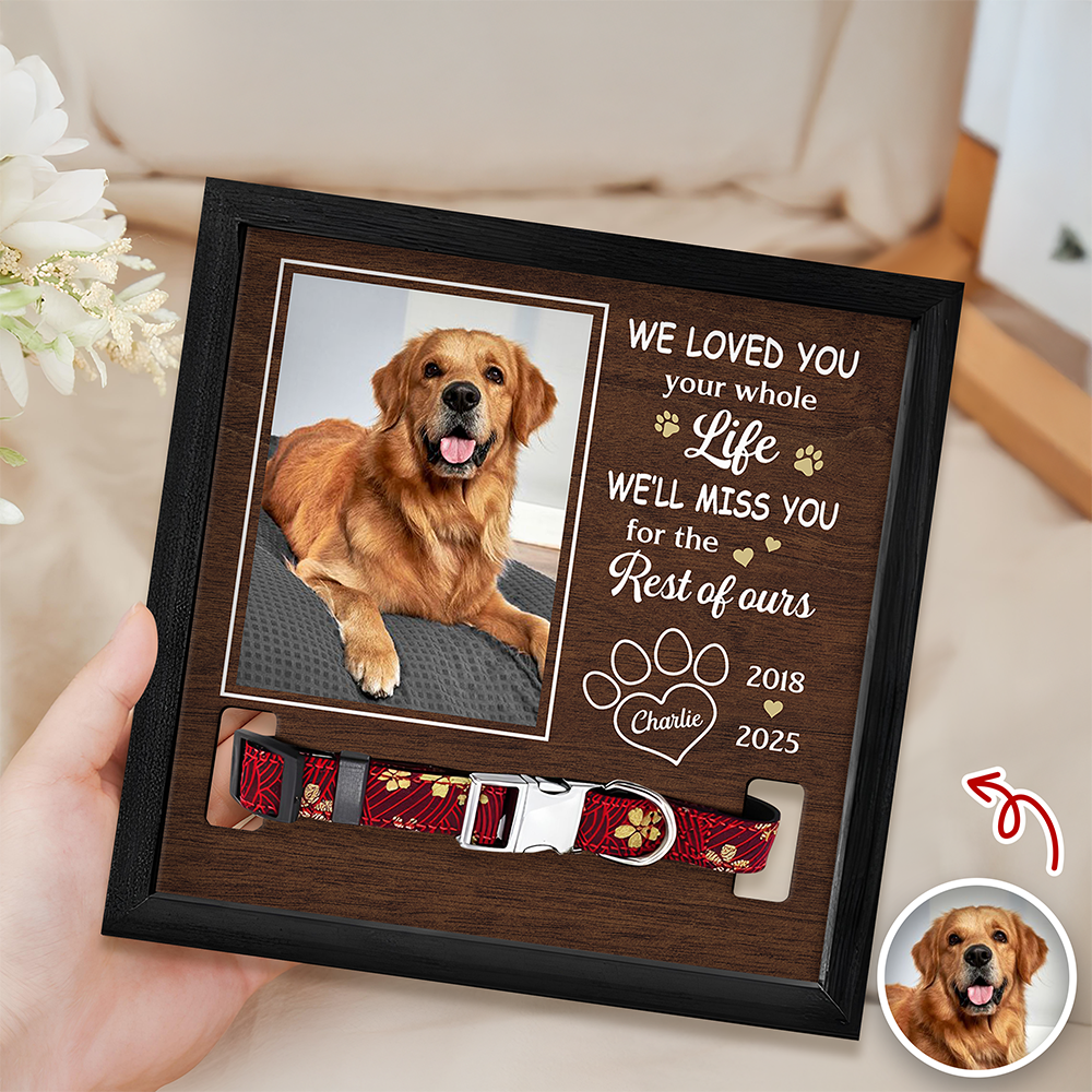 Custom Photo I Loved You Whole Life Memorial Dog Cat Square Collar Frame HA75 892818
