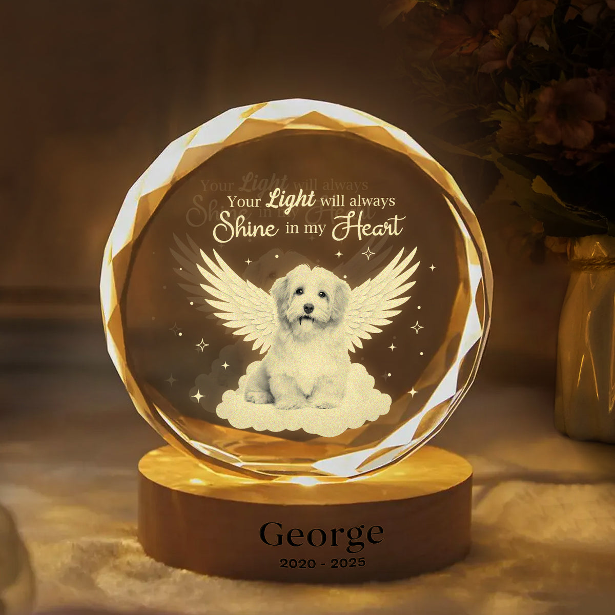 Custom Photo Dog Cat Pet Your Light Will Always Shine In My Heart Memorial Engraved Crystal Photo With Light HA75 898212