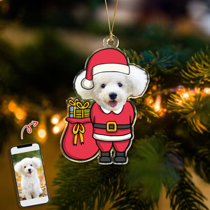 Custom Funny Photo Christmas Acrylic Ornament For Pet Lover TH10 894325
